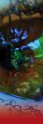 oeil