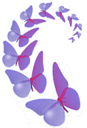 envol de papillons